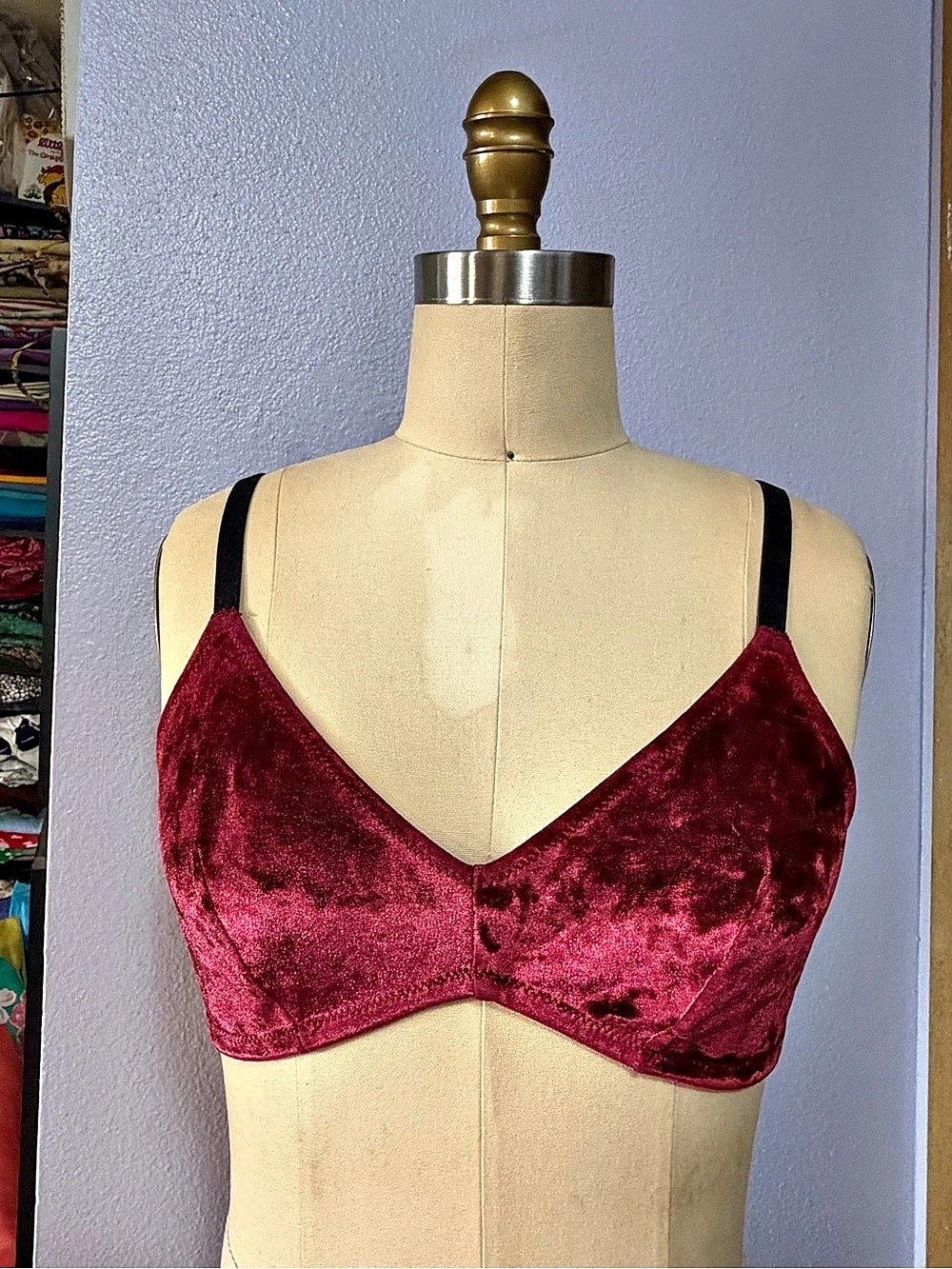 Velvet V-Neck Bra in Red Like New